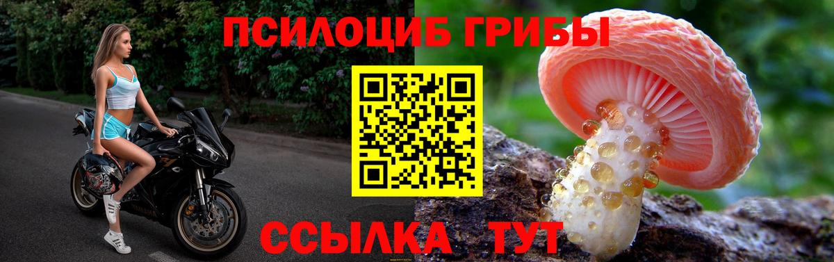 закладки  Вход с VPN  Острогожск  Галлюциногенные грибы Magic Shrooms 